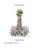 Tragedia de los comunes