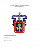 Ensayo American Vandal