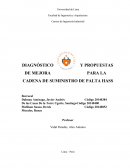 DIAGNÓSTICO Y PROPUESTAS DE MEJORA PARA LA CADENA DE SUMINISTRO DE PALTA HASS