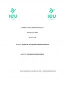 TEORIA DE LOS SISTEMA ORGANIZACIONALES