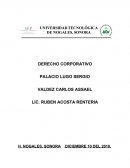 DERECHO CORPORATIVO. Diagnóstico de la empresa