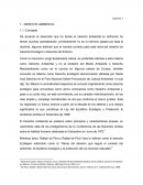 El Derecho Ambiental. Principios y Fuentes