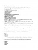 Apuntes de testamento