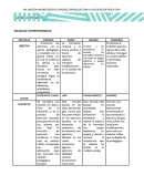 CUADROS COMPARATIVOS ESCUELAS CONTEMPORANEAS