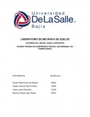 AVANCE PRUEBA DE COMPRESION TRIAXIAL (NO DRENADA- NO CONSOLIDADA)