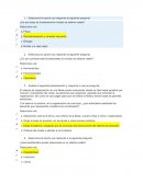 ¿En qué leyes se fundamenta el modelo de sistema viable?