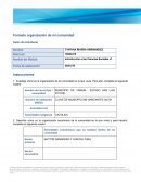 Formato organización de mi comunidad