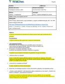 Act1 Estrategia de precio y valor