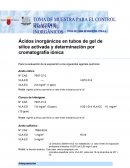 Ácidos inorgánicos en tubos de gel de sílice activada y determinación por cromatografía iónica