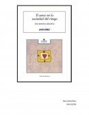 EL AMOR EN LA SOCIEDAD DEL RIESGO: Una tentativa educativa