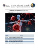 Enfermedades del sistema inmune