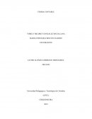 TEORIA CONTABLE. LA CONTABILIDAD UNA FORMA DE VIDA