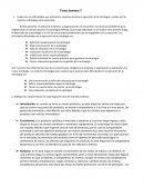 Finanzas. Cuáles son las dificultades que enfrenta la empresa durante la ejecución de la estrategia