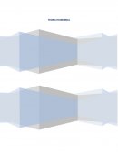 TEORIA ECONOMICA. Clasificación del consumidor