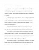 Estructuras del sistema nervioso Foro