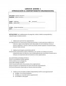 EJERCICIO SEMANA 1 INTRODUCCIÓN AL COMPORTAMIENTO ORGANIZACIONAL