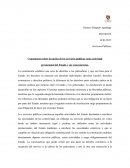 Servicios Públicos. Comentarios sobre la nación de los servicios públicos como actividad prestacional del Estado y sus consecuencias