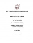 Cartas a un estudiante de derecho. EL LENGUAJE JURÍDICO