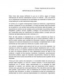 Importancia de los archivos