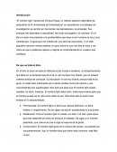 El hombre light escrito por Enrique Rojas