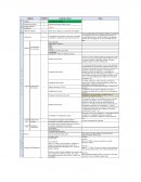 Reporte de Estadía Profesional