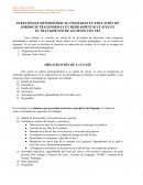 Rutinas sistema verbo tonal