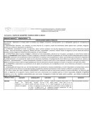 MATRIZ DE DESEMPEÑO Y RÚBRICAS SOBRE EL ENSAYO