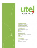 ENSAYO COMPETENCIAS GERENCIALES