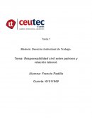 Responsabilidad civil entre patrono y relación laboral