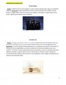 Supersticiones de Mala suerte. Supersticiones de Buena Suerte