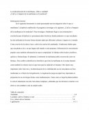 La medicalización de la marihuana. ¿Mito o realidad?