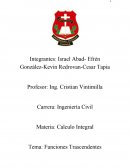 Calculo Integral . Tema: Funciones Trascendentes