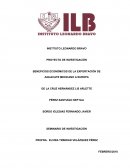 Beneficios Económicos de la exportación de aguacate mexicano a Europa