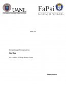 Competencias Comunicativas Gorillaz