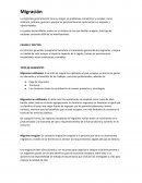 Migración. CAUSAS Y EFECTOS