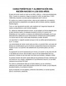 CARACTERÍSTICAS Y ALIMENTACIÓN DEL RECIÉN NACIDO A LOS DOS AÑOS