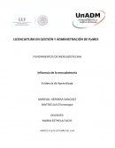 Evidencia de aprendizaje Mercadotecnia UNADM