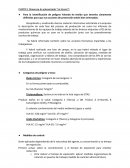 Caso practico UD 5 PRL