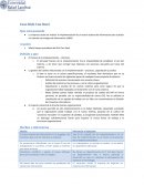 Casо Rich-Con Steel