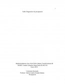 Taller Diagnostico de presupuesto