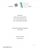 SEGMENTACIÓN DE MERCADO DEL PRODUCTO RAPYARROZ