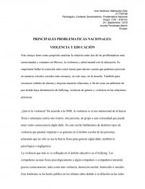 PRINCIPALES PROBLEMATICAS NACIONALES: VIOLENCIA Y EDUCACIÓN. Página 1