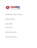 ENSAYO “LA META”