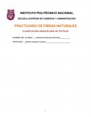 ANÁLISIS DE LAS FIBRAS NATURALES VEGETALES: ALGODÓN, CAÑAMO, YUTE Y LINO
