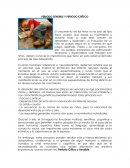 PERIODO SENSIBLE Y PERIODO CRÍTICO