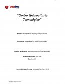 Tarea a realizar: Guía de Trabajo Semana 1 Psicología de las Organizaciones