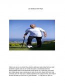 Los Golazos Del Viejo