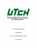 TSU Desarrollo de negocios Mercadotecnia