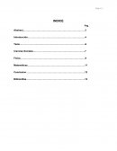 PIA interdisciplinario. La migración hacia el extranjero