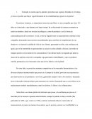 Caso Práctico - Bayer